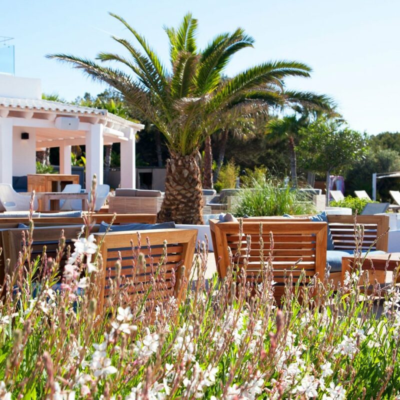 Homecoming-Retreats-Locations-Formentera-Gecko-Beach-Club-Hotel-04